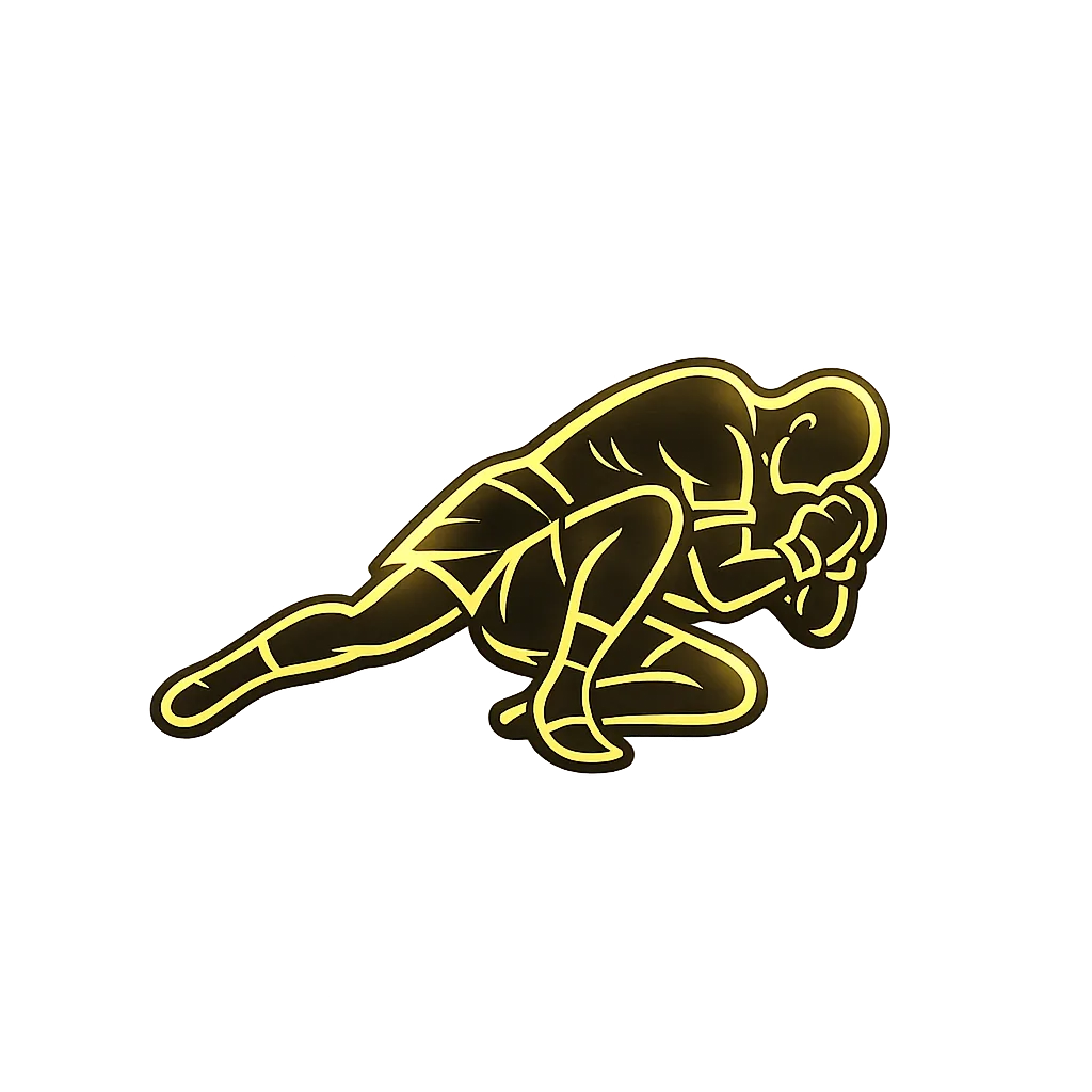 Ikona MMA